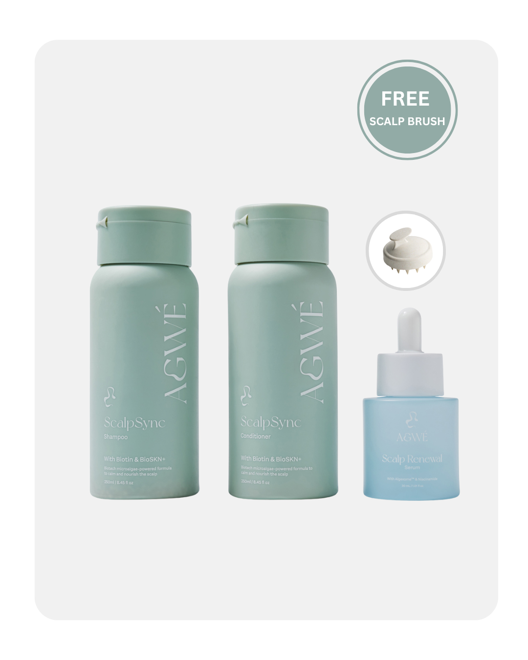 The Scalp System for thinning & hair growth